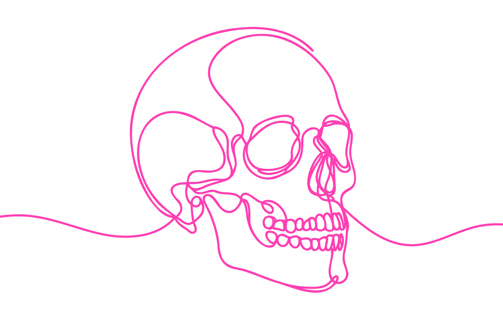 skull